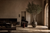 Architectural living room with a tall artificial olive tree beside a tadelakt wall, a calm tabby cat resting on a fumed-oak bench in soft chiaroscuro light