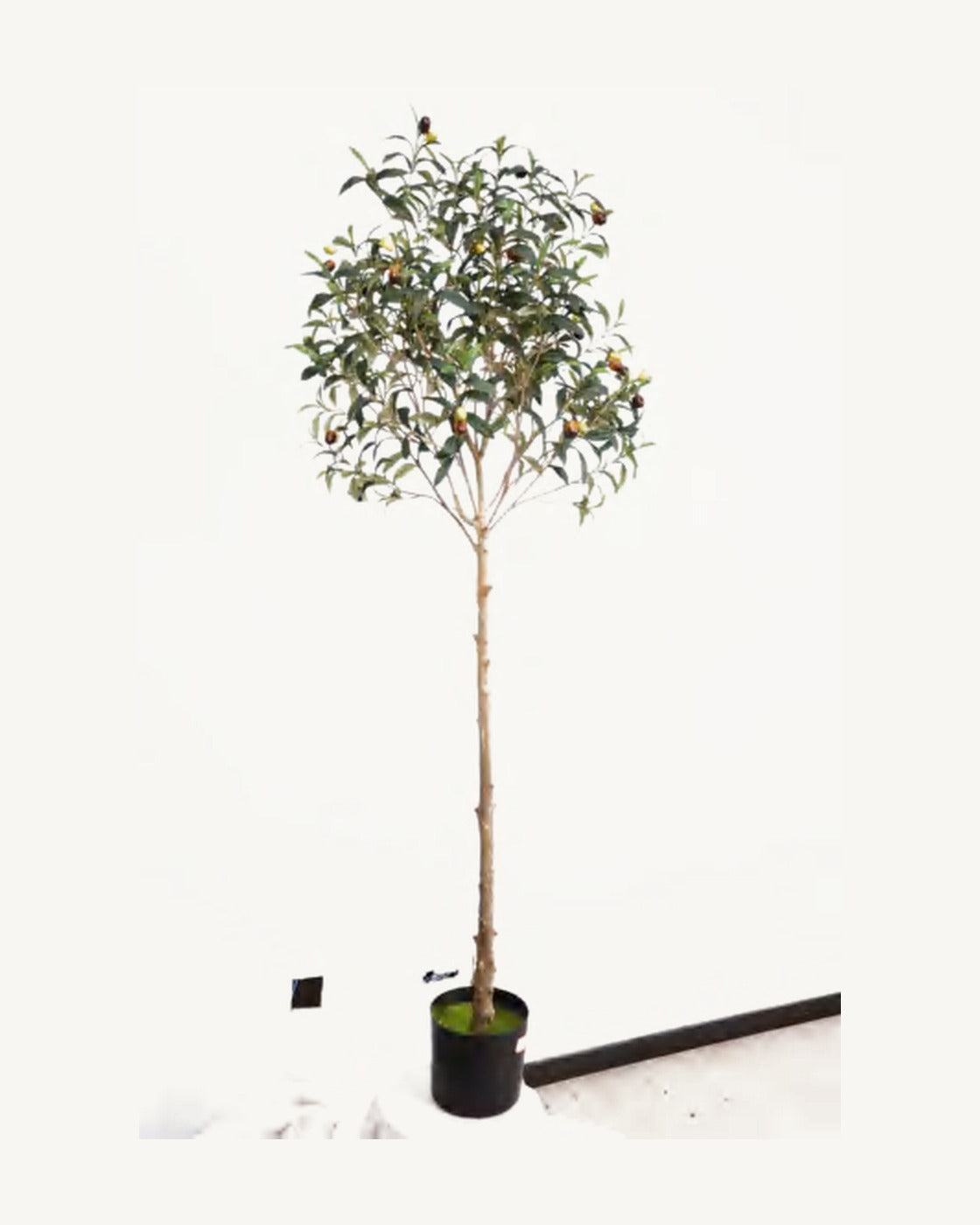 Ajaccio Artificial Olive Tree, full product studio view in the included nursery pot