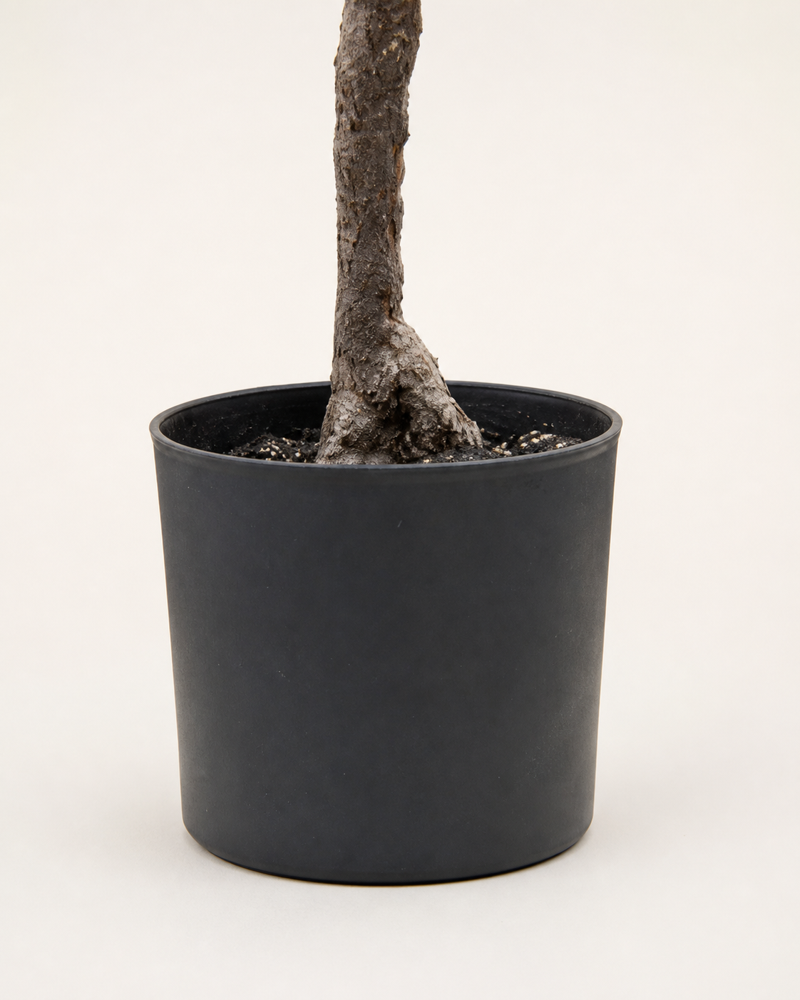 Arezzo Artificial Olive Tree, close-up of the included nursery pot