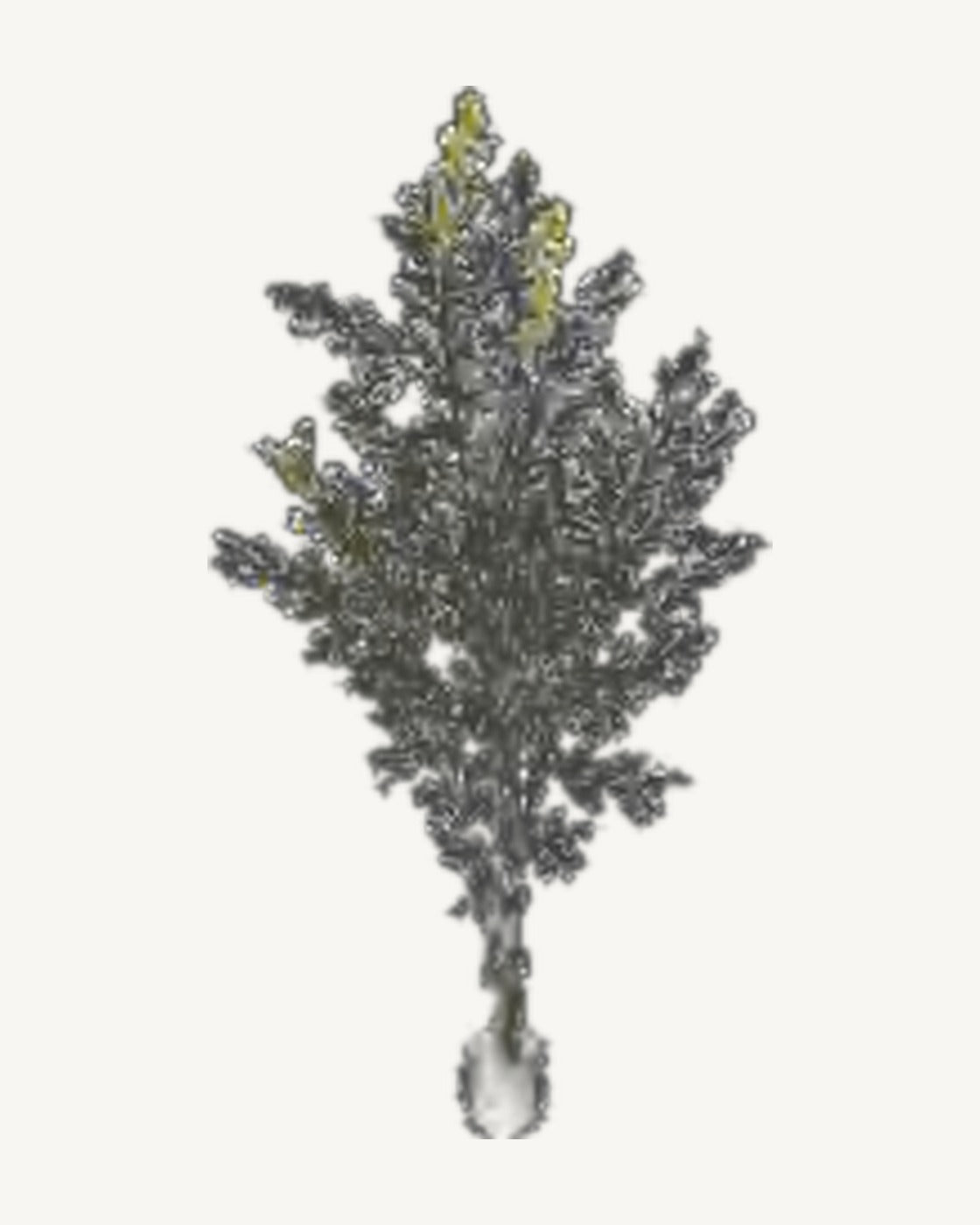 Biot Artificial Olive Tree, full product studio view in the included nursery pot