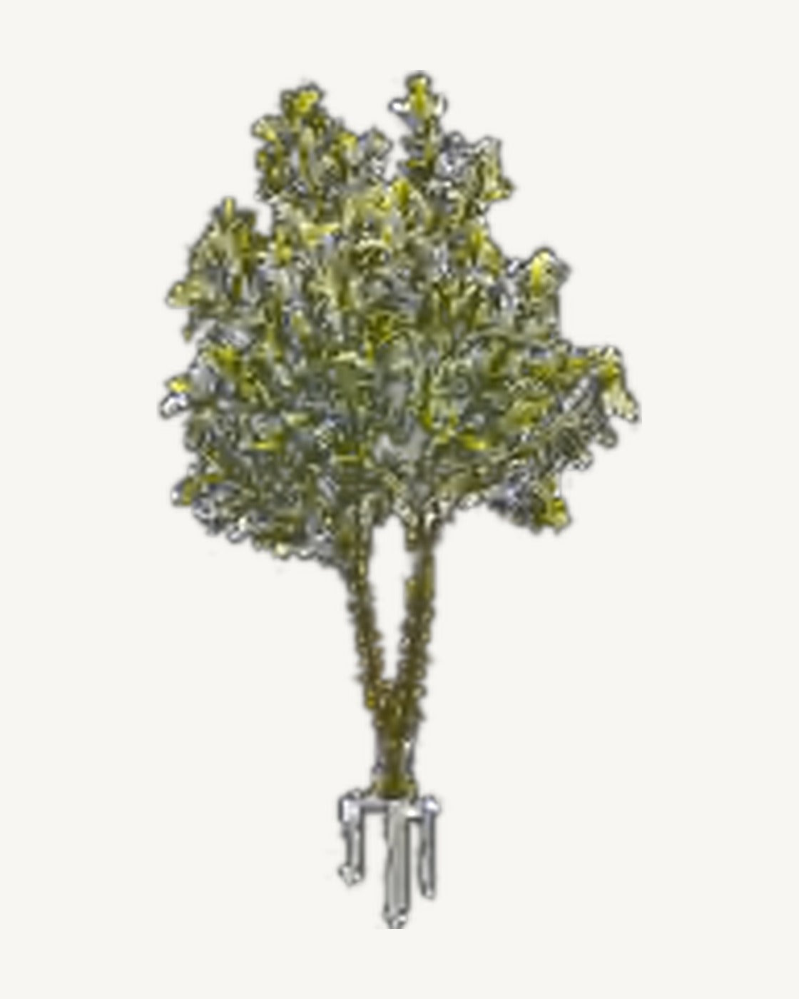 Bonnieux Artificial Olive Tree, full product studio view in the included nursery pot
