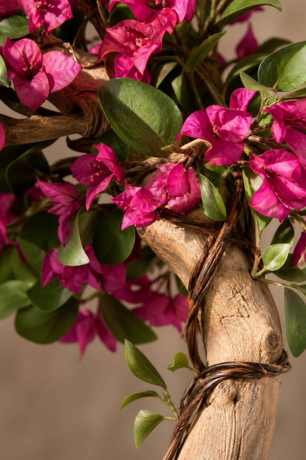 Maison Moya - Bougainvillea Arched XL Statement Tree - closeup surface