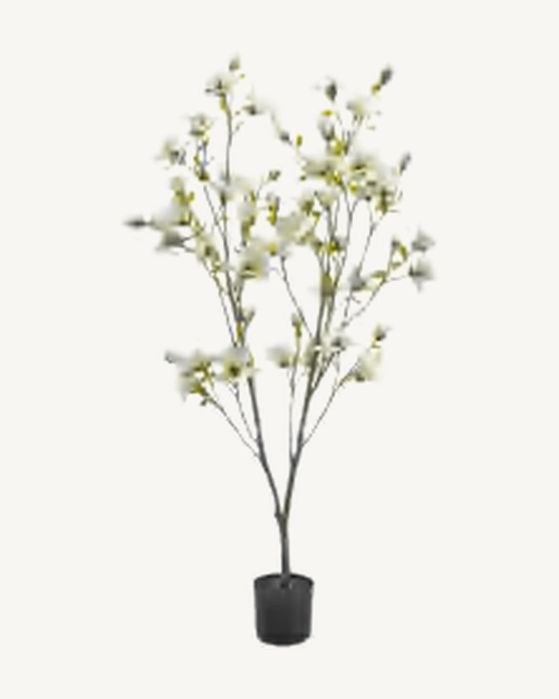 Cassis Artificial Blossom Tree, Ivory, full product studio view in the included nursery pot