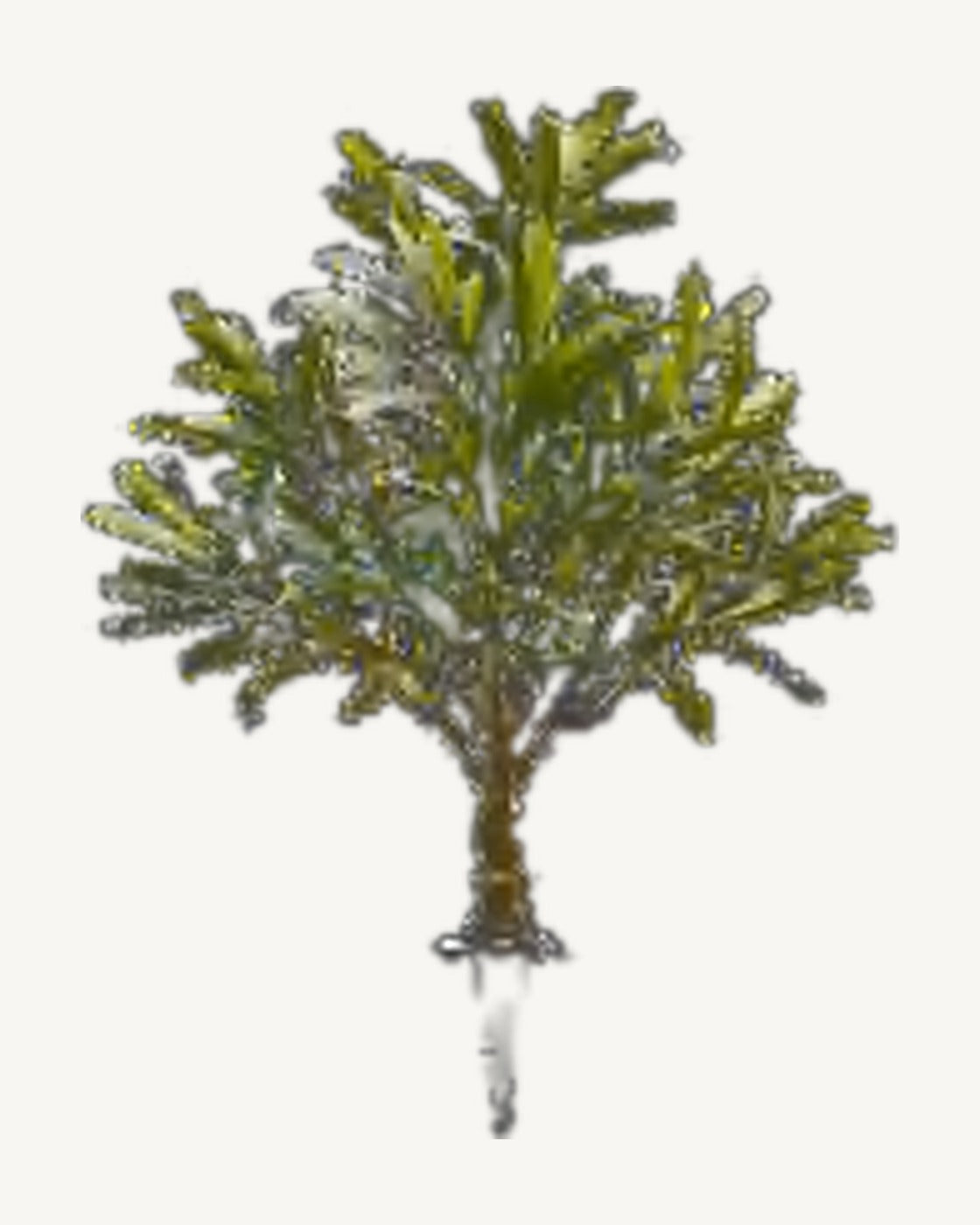 Collioure Artificial Olive Tree, full product studio view in the included nursery pot