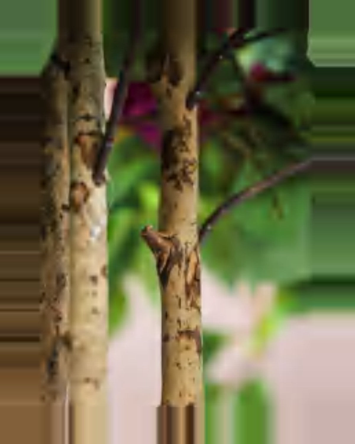 Vallon Bougainvillea Tree — close-up detail 4, artificial bougainvillea tree