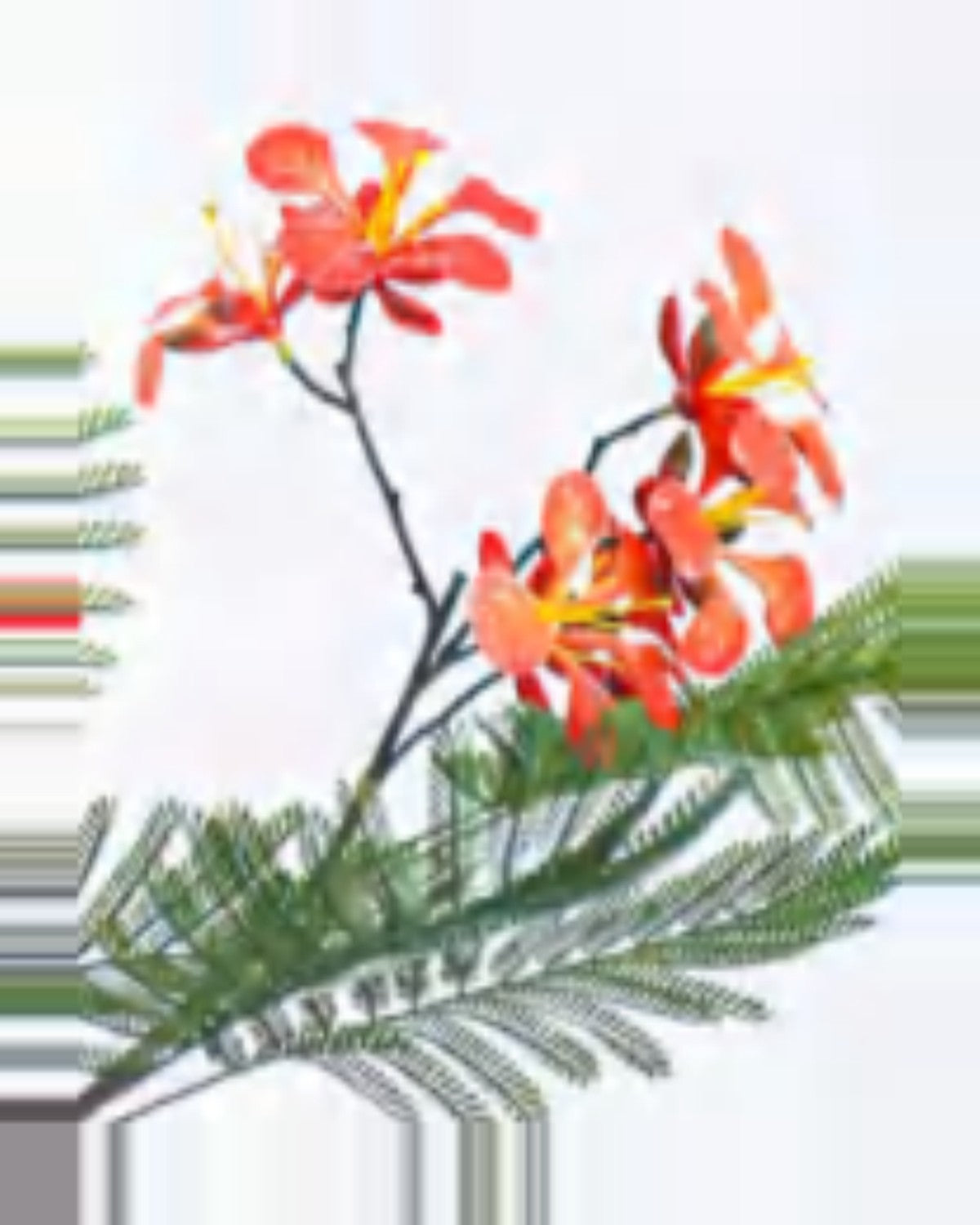 Vallon Royal Poinciana Tree — close-up detail 4, artificial royal poinciana tree