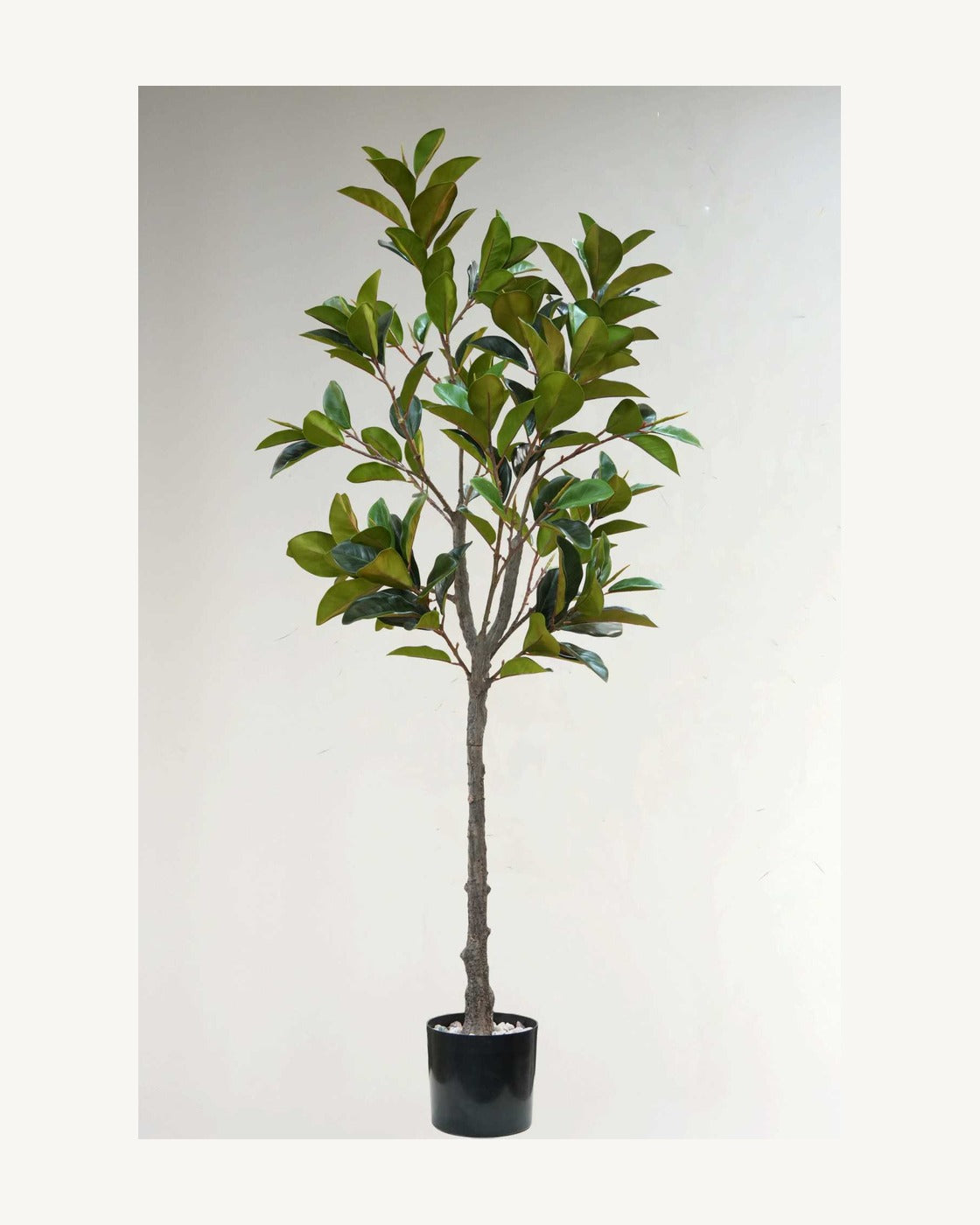 Garda Artificial Decorative Tree, full product studio view in the included nursery pot