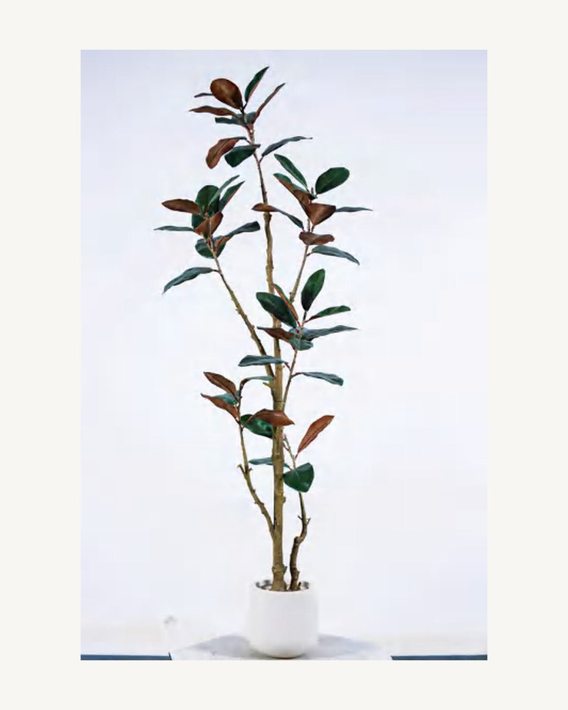 Ligurian Artificial Magnolia Tree, full product studio view in the included nursery pot