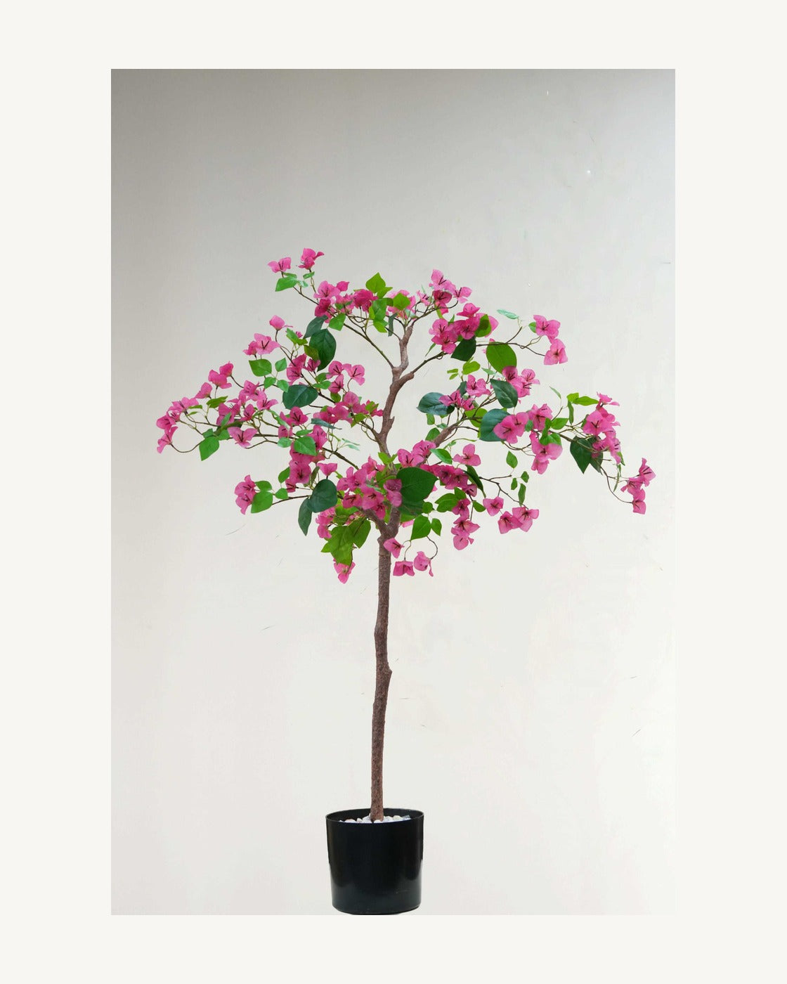 Lucca Artificial Bougainvillea Tree, full product studio view in the included nursery pot
