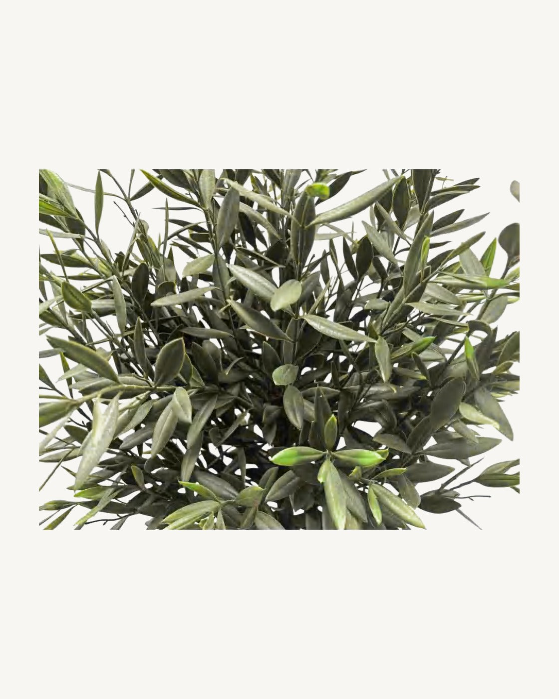 Malaga Artificial Olive Tree, full product studio view in the included nursery pot