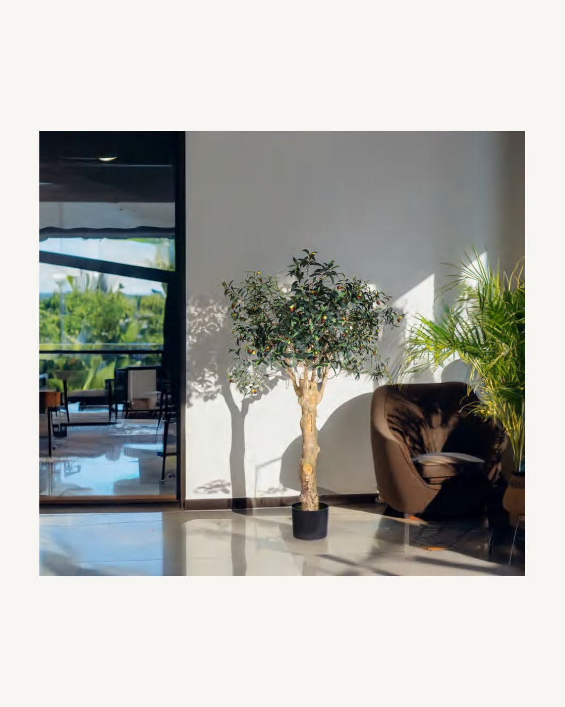 Mallorca Artificial Olive Tree, full product studio view in the included nursery pot
