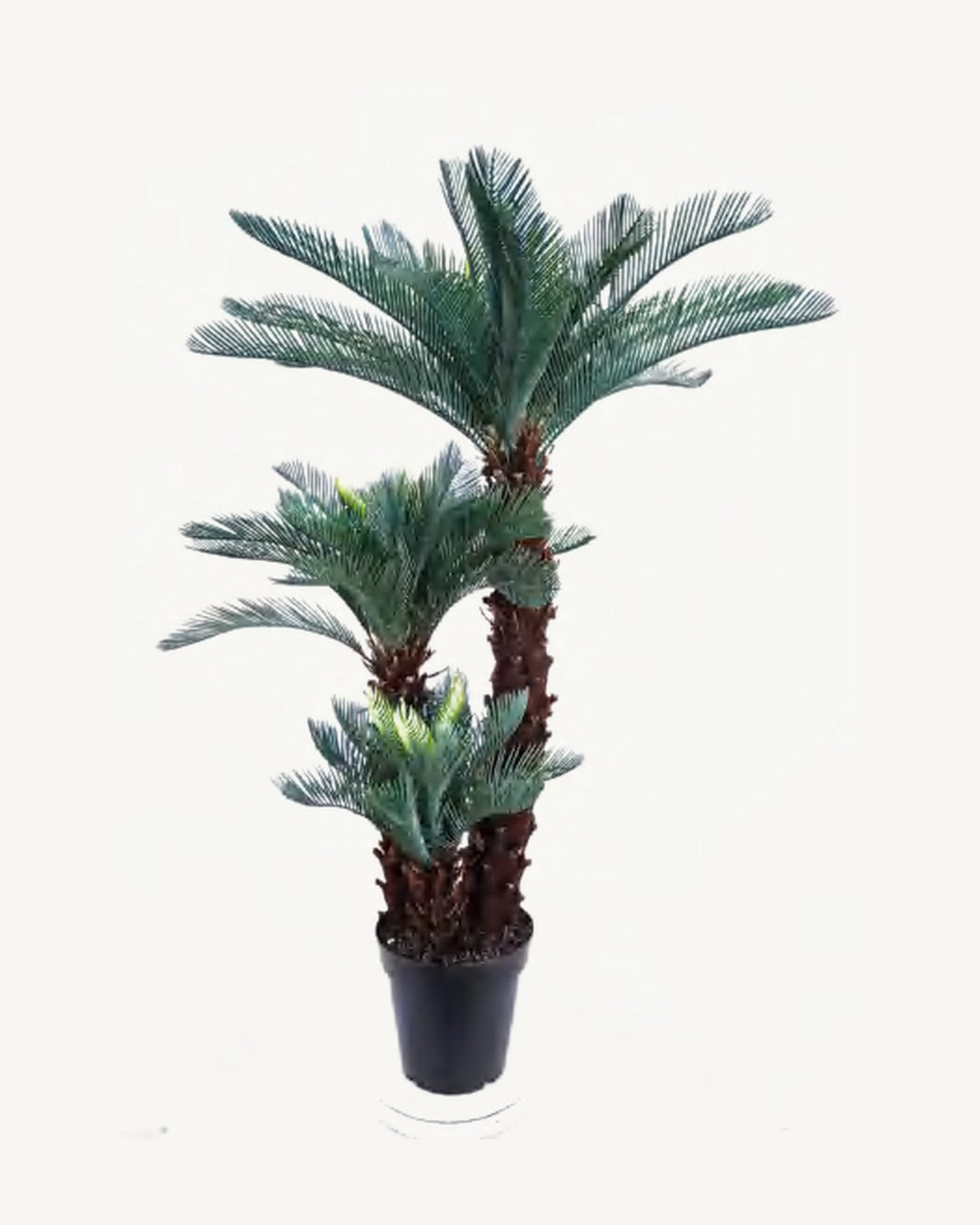 Maremma Artificial Sago Palm, 51.1 in, full product studio view in the included nursery pot