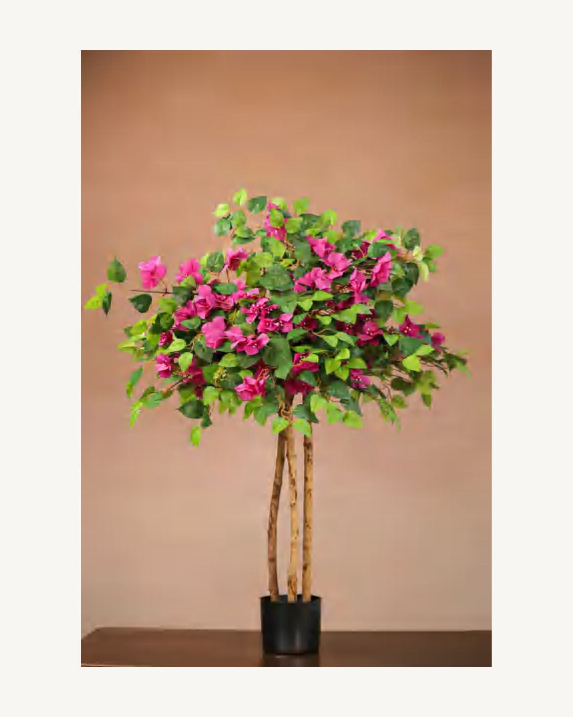 Matera Artificial Bougainvillea Tree, full product studio view in the included nursery pot