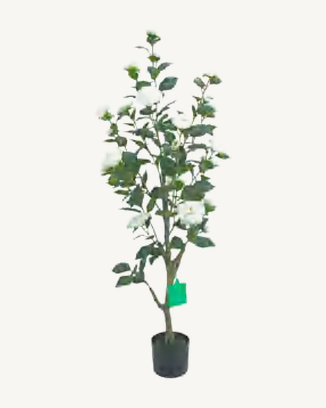 Mentone Artificial Blossom Tree, 51.2 in, full product studio view in the included nursery pot