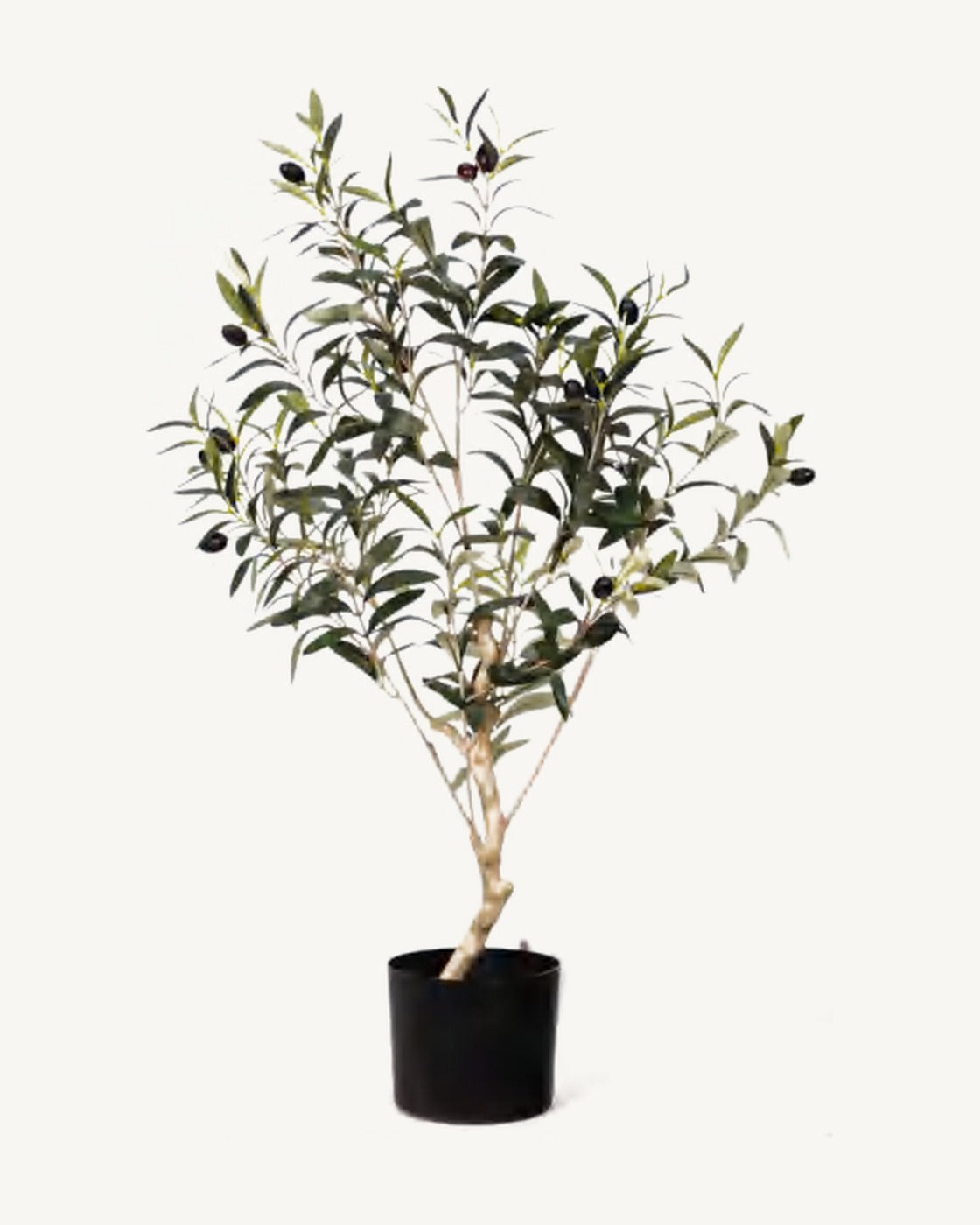 Merida Artificial Olive Tree, full product studio view in the included nursery pot