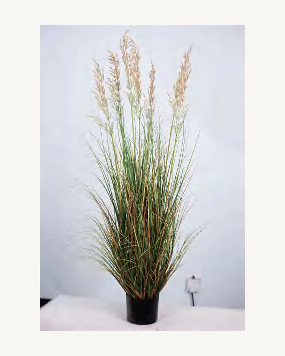 Orvieto Artificial Onion Grass, full product studio view in the included nursery pot