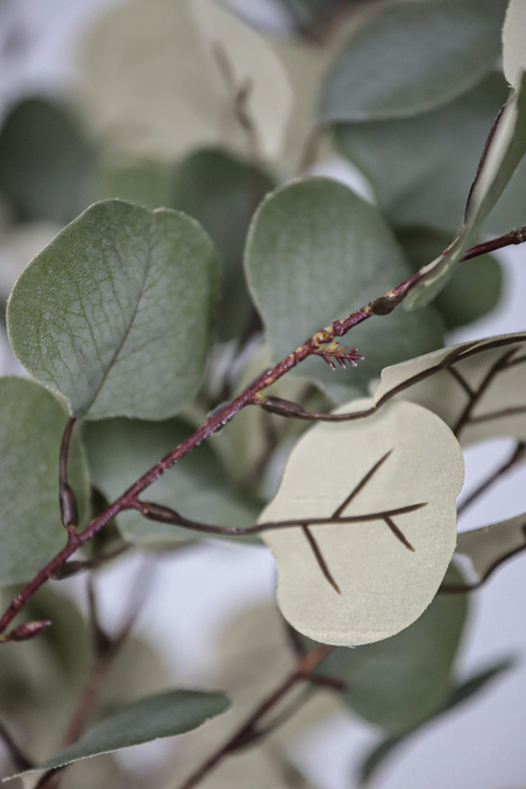 Eucalyptus Round Leaf Faux Tree