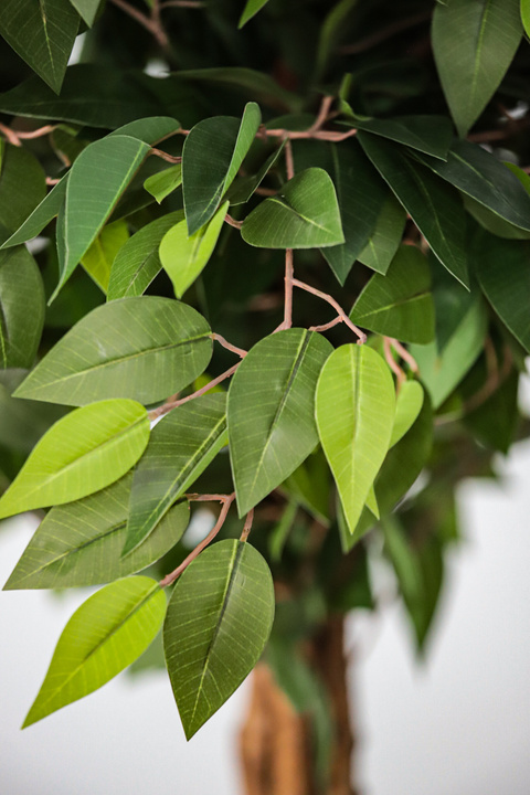 Ficus Tree Natural Touch Indoor Tree