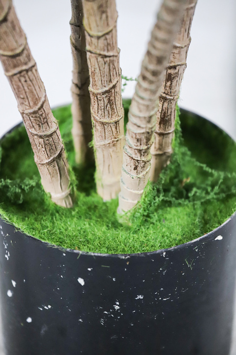 Dracaena Realistic Trunk Faux Tree