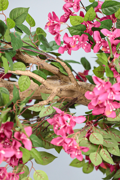 Bougainvillea Arched XL Statement Tree