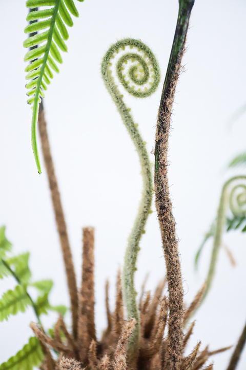 Boston Fern Lush Faux Hanging Plant