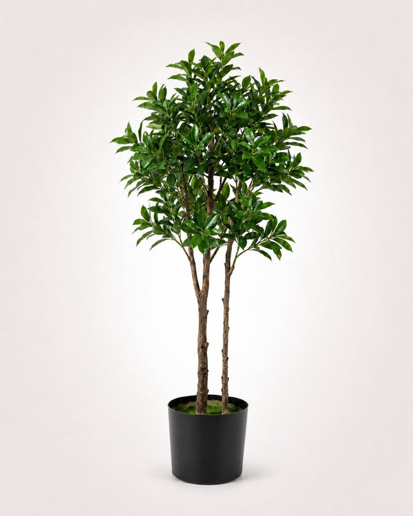 Pieris Japonica Faux Indoor Plant