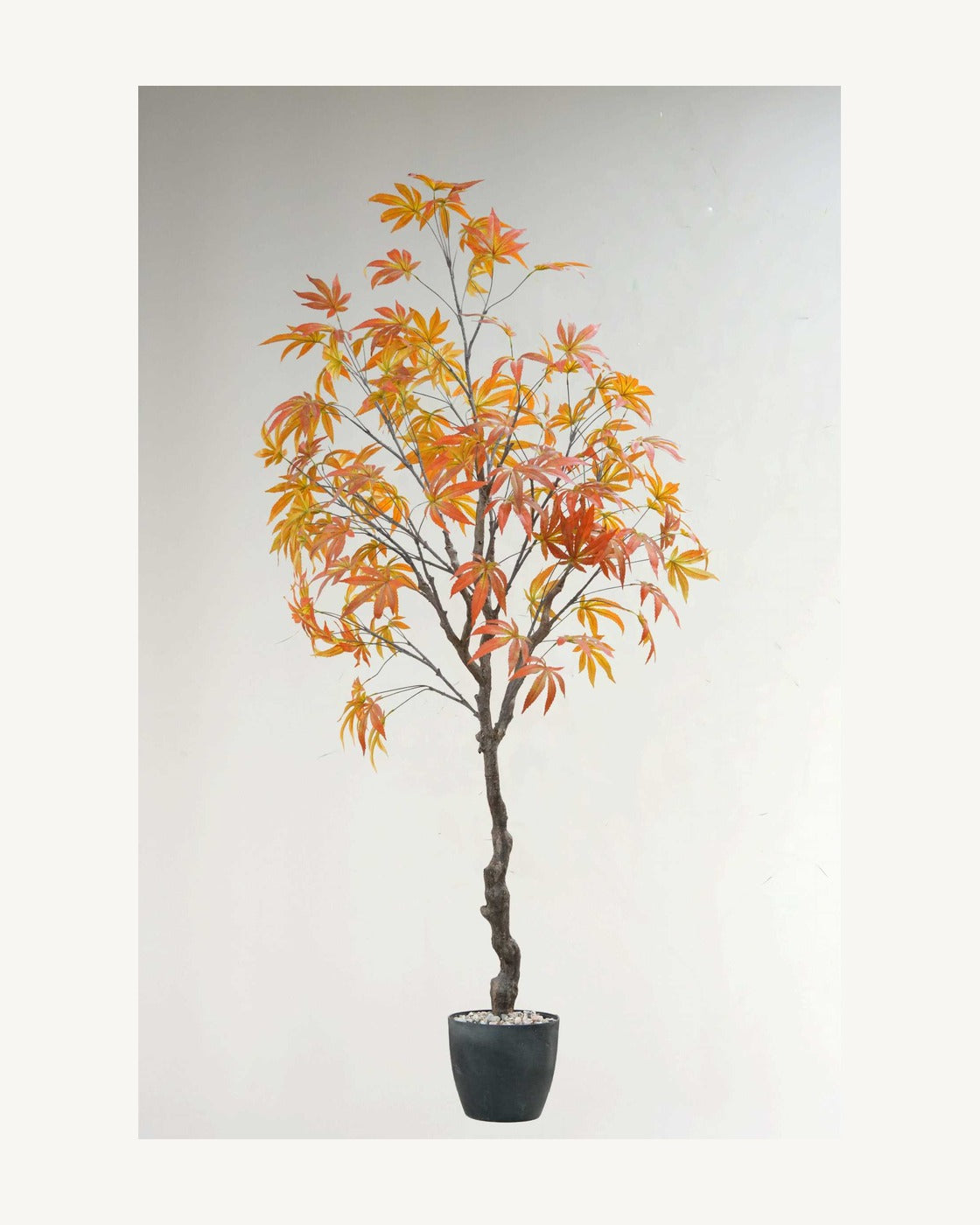 Puglia Artificial Maple Tree, full product studio view in the included nursery pot