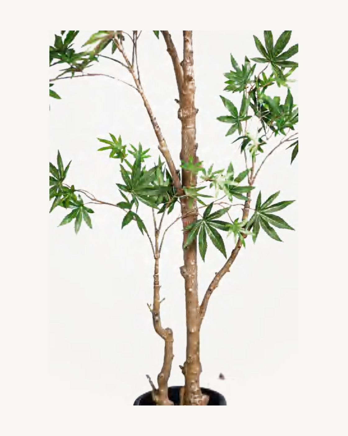 Salina Artificial Maple Tree, full product studio view in the included nursery pot
