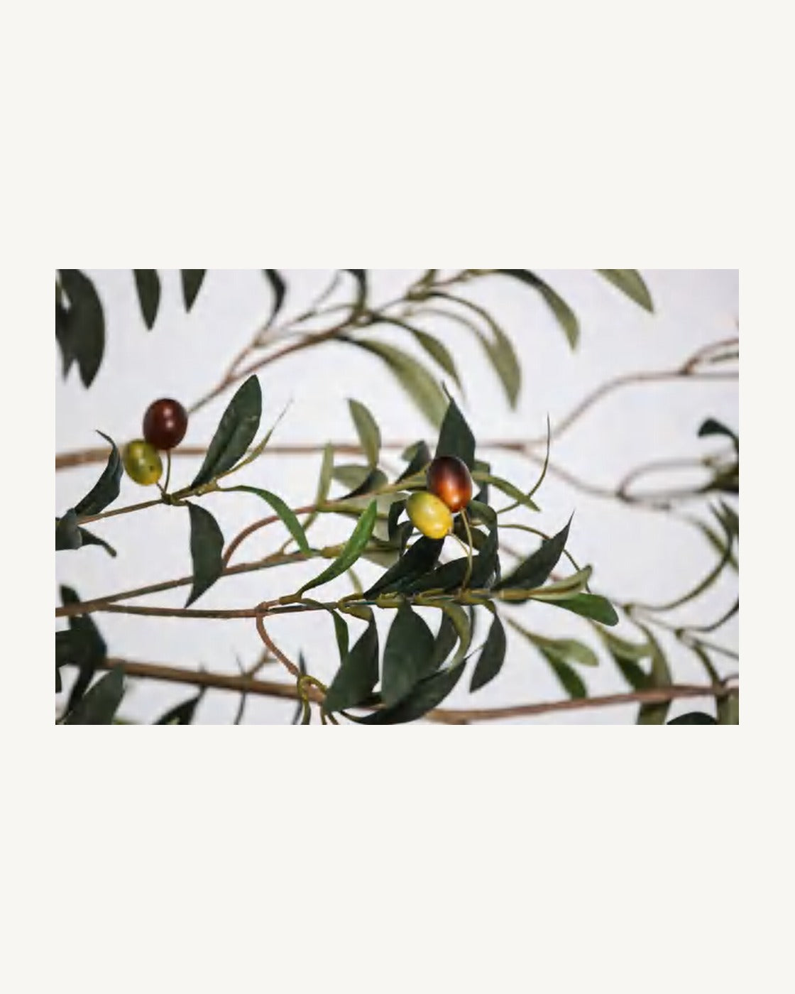 Sintra Artificial Olive Tree, full product studio view in the included nursery pot