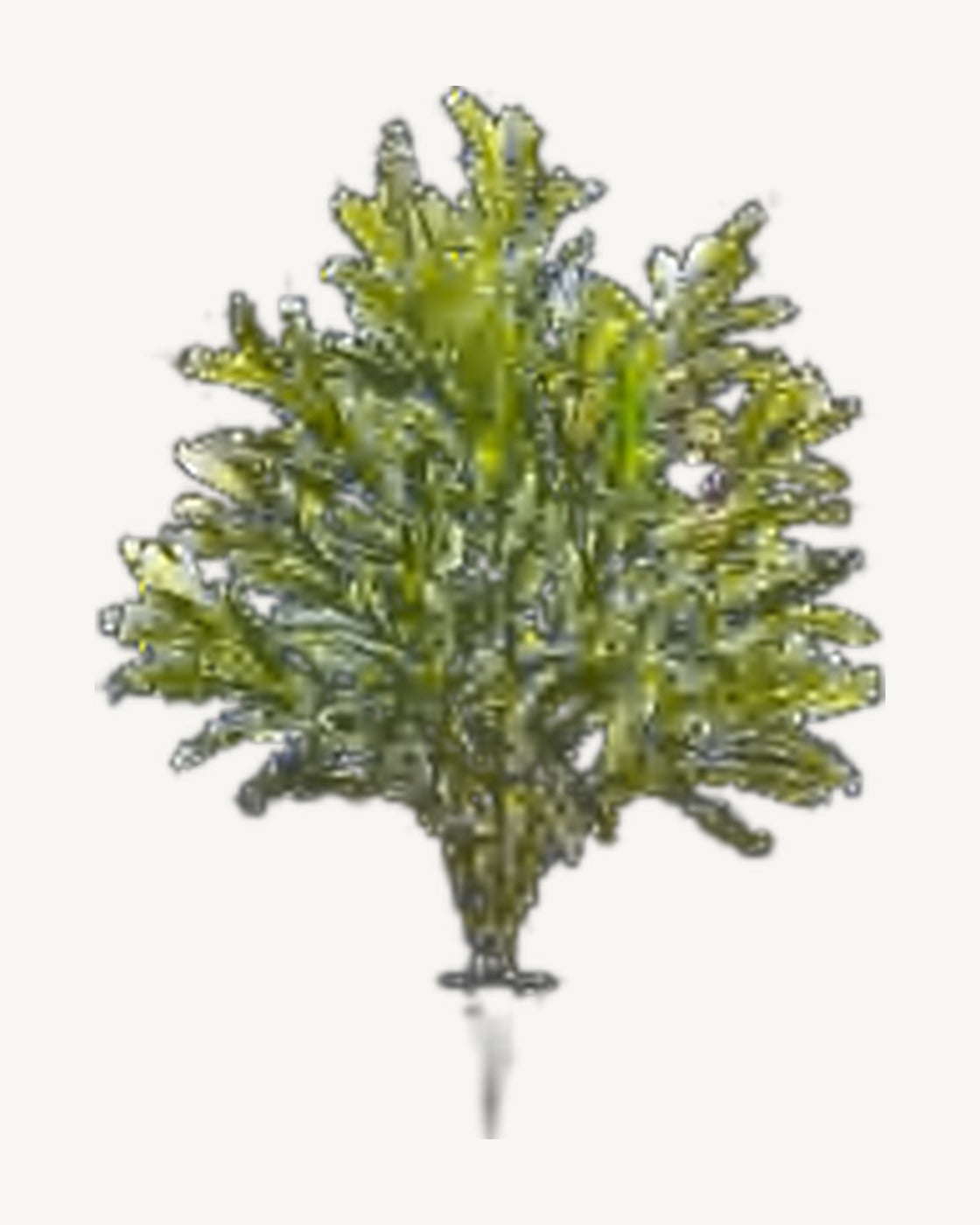 Sitges Artificial Olive Tree, full product studio view in the included nursery pot