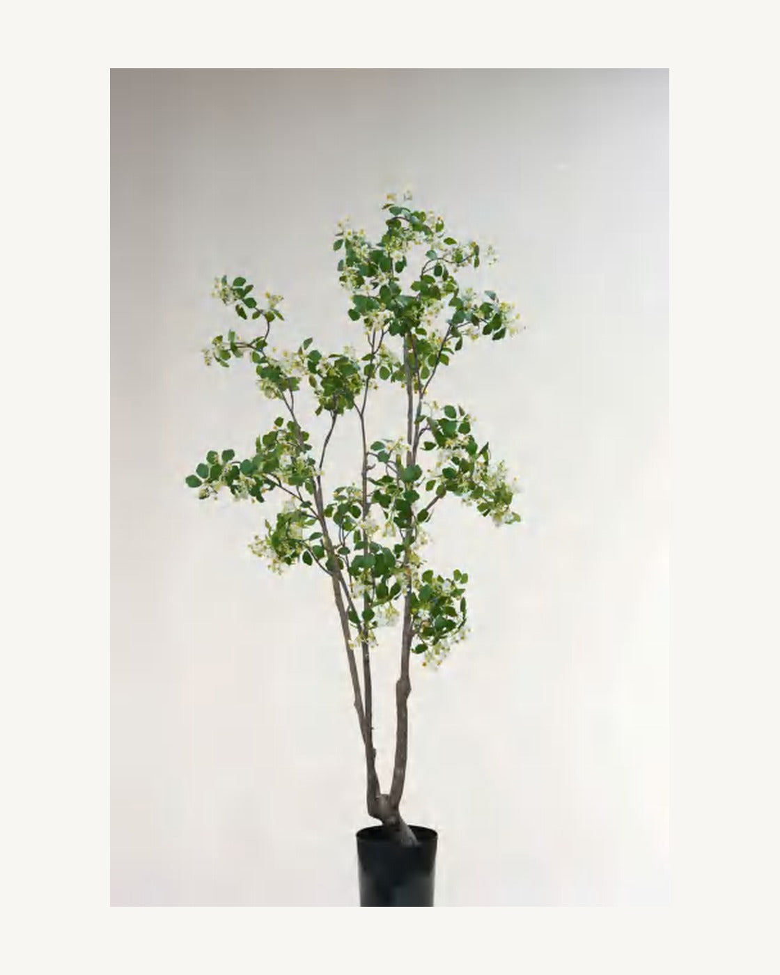 Spoleto Artificial Dogwood Tree, full product studio view in the included nursery pot