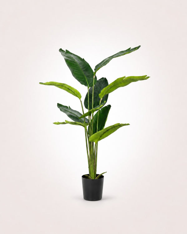 Traveler's Palm Tropical Statement Tree