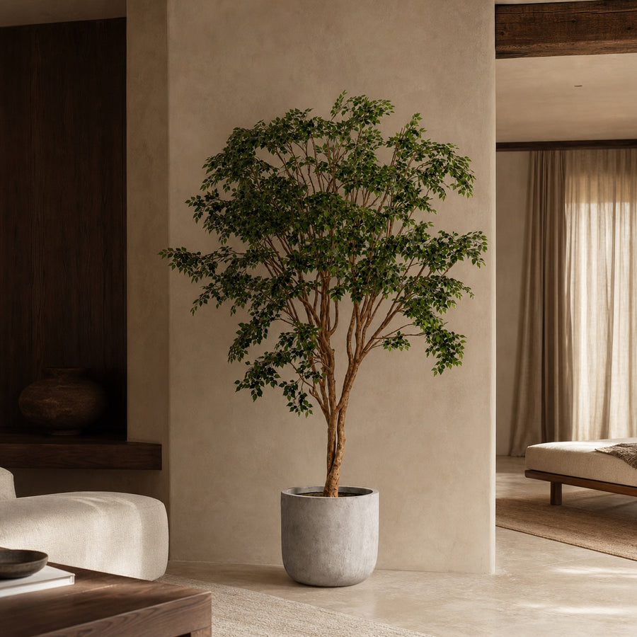 Banyan Tree Real Wood Trunk XL Statement