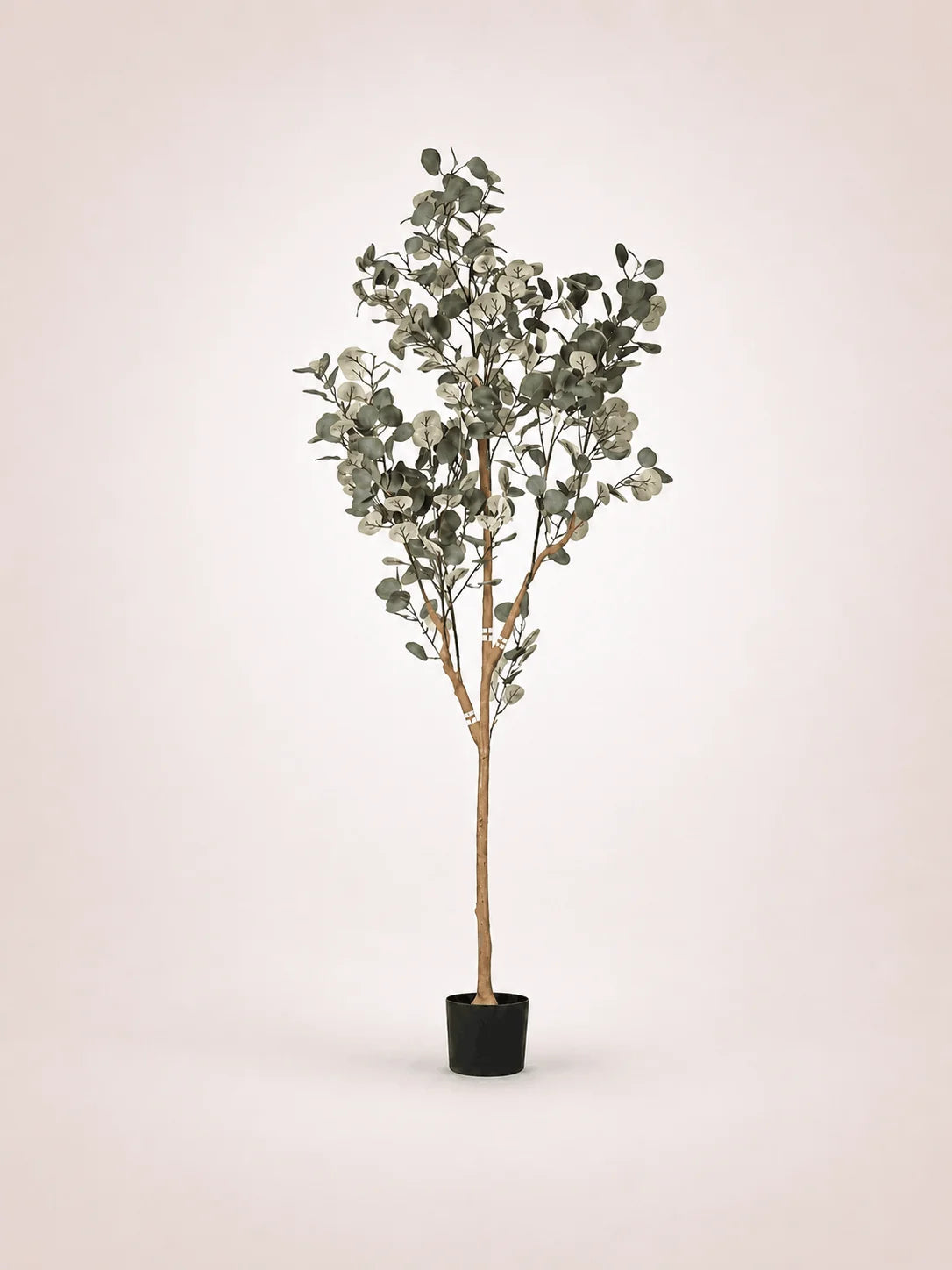 Eucalyptus Round Leaf Faux Tree – Maison Moya