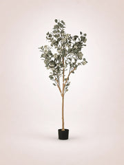Eucalyptus Round Leaf Faux Tree – Maison Moya