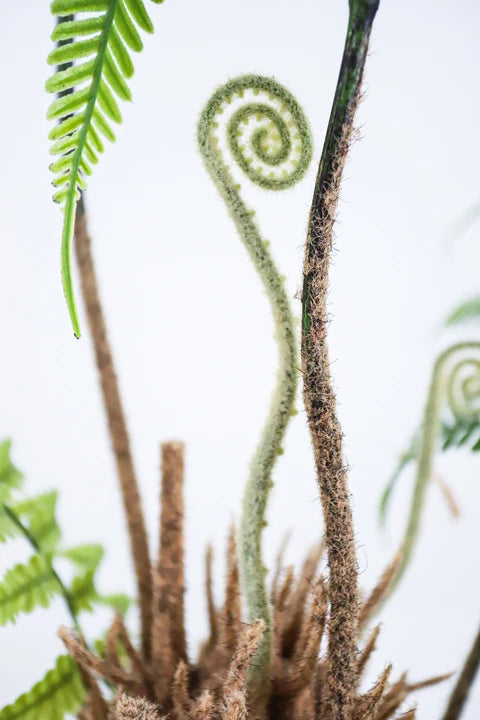 Boston Fern Lush Faux Hanging Plant