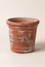 Maison Moya — Tonneau Garden Barrel Planter — vue studio trois-quarts
