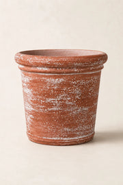 Maison Moya — Tonneau Garden Barrel Planter — vue de profil