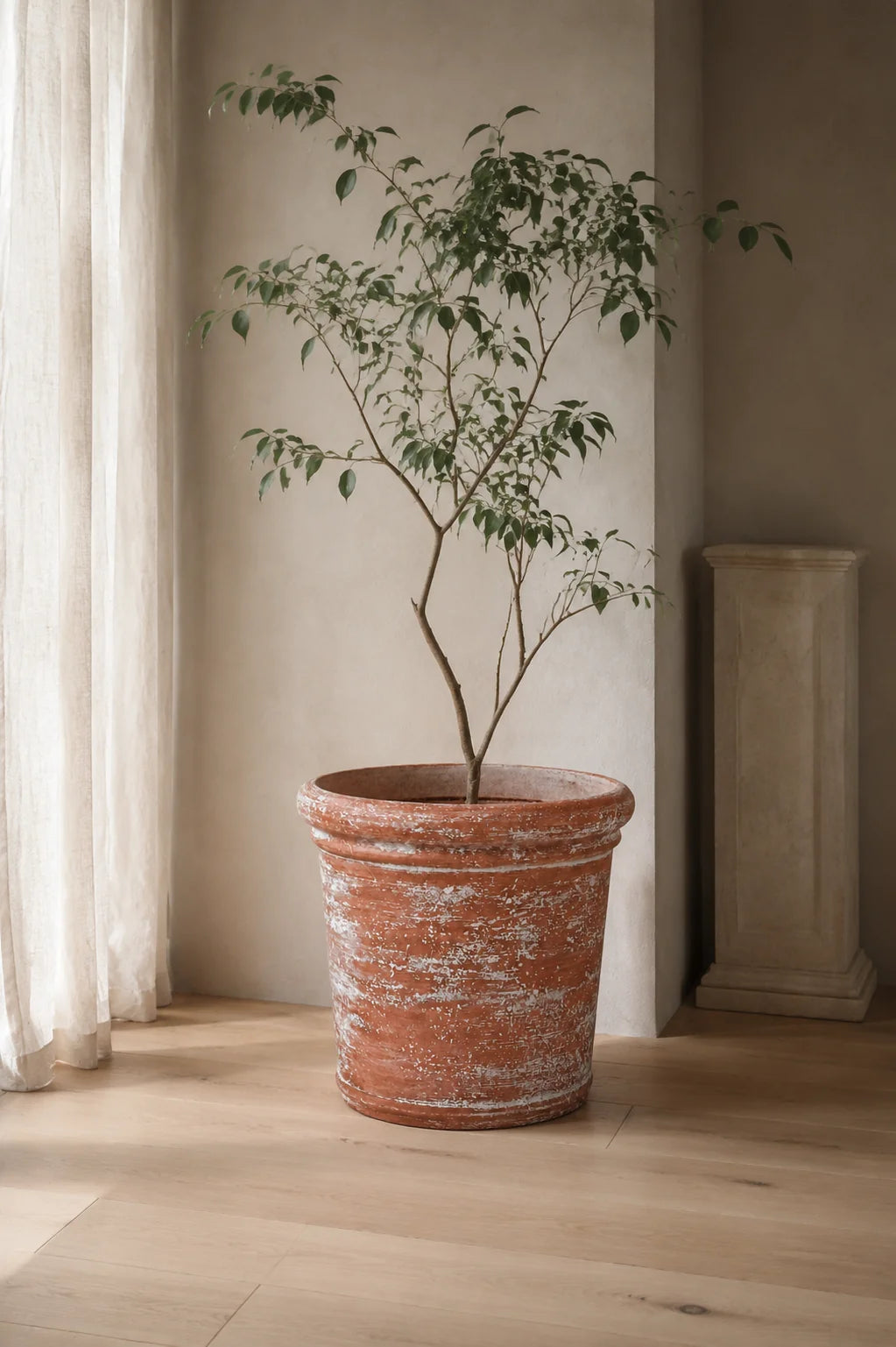 Maison Moya — Tonneau Garden Barrel Planter — mise en scène Maison Moya