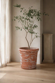 Maison Moya — Tonneau Garden Barrel Planter — mise en scène Maison Moya