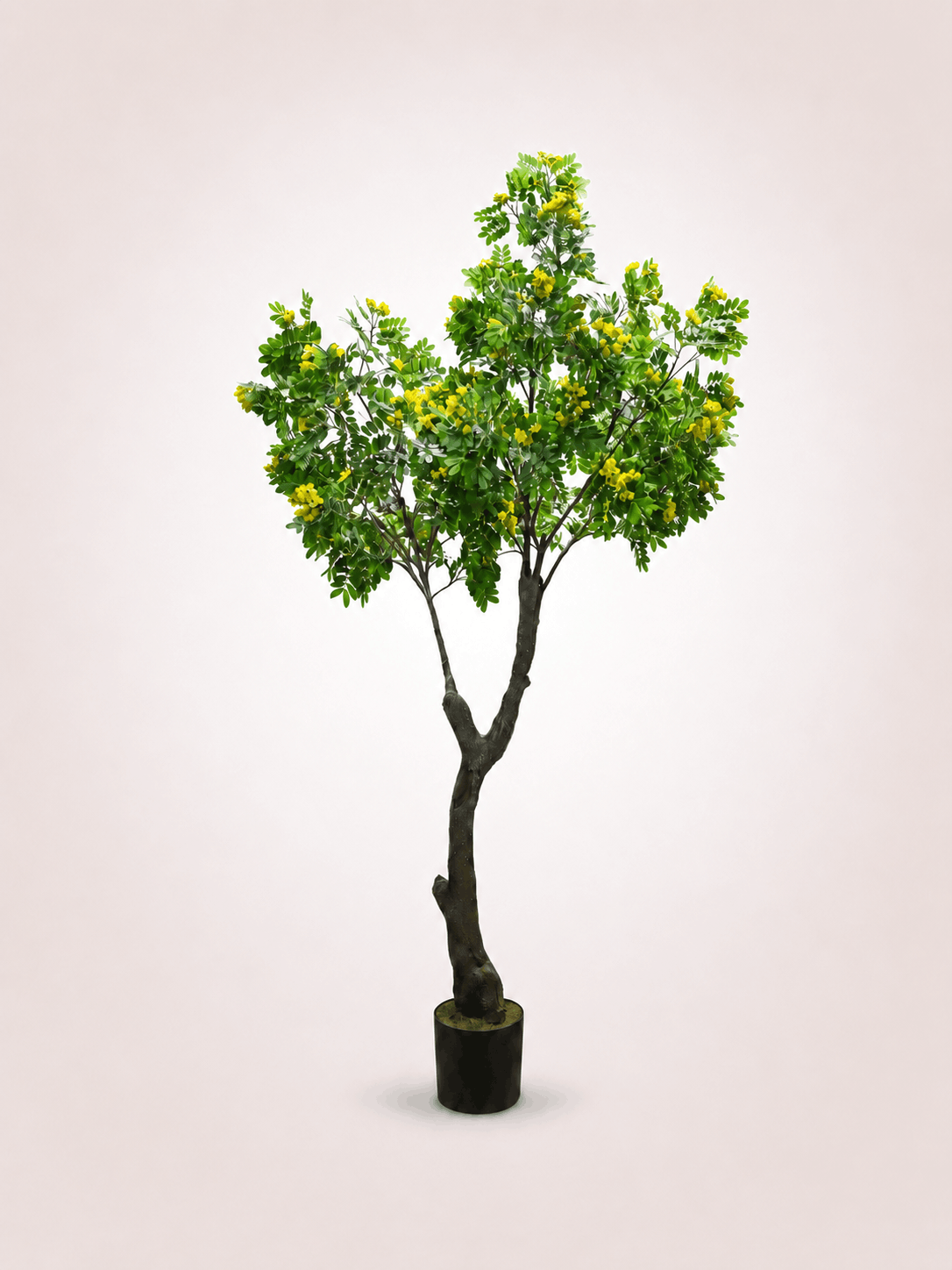 Osmanthus Faux Indoor Tree