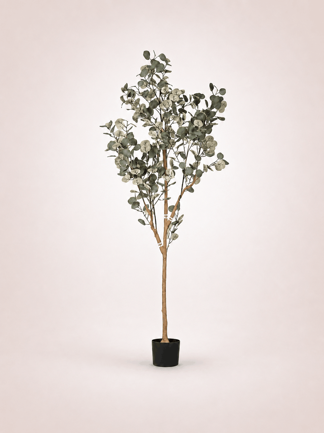 Eucalyptus Round Leaf Faux Tree