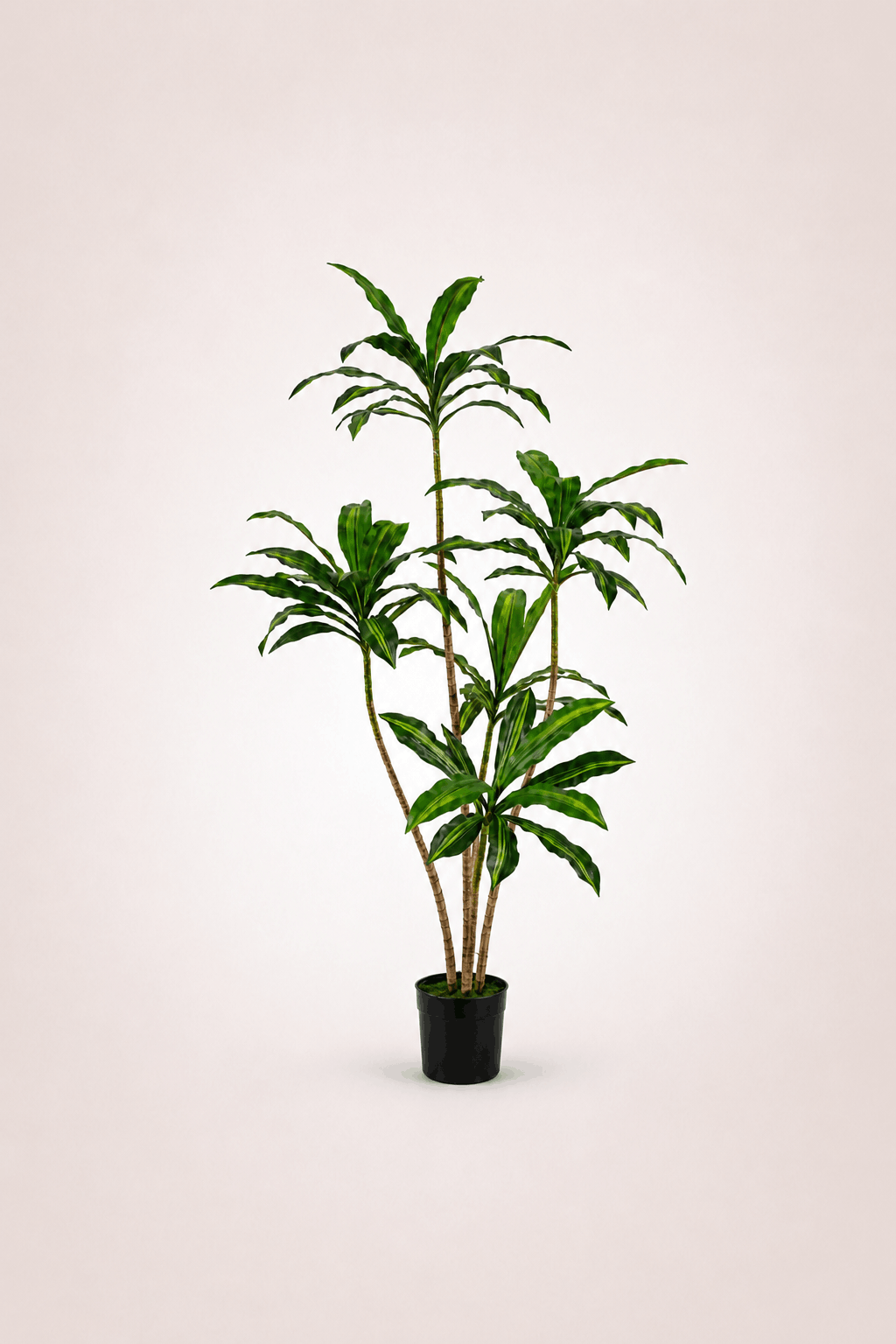 Dracaena Realistic Trunk Faux Tree