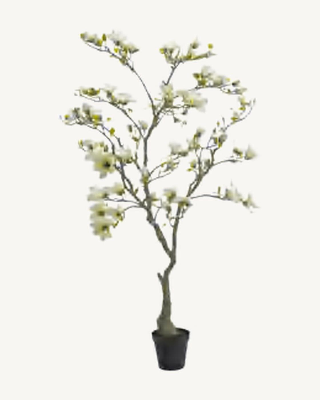 Antibes Artificial Blossom Tree, Ivory, full product studio view in the included nursery pot