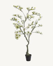 Antibes Artificial Blossom Tree, Ivory, full product studio view in the included nursery pot