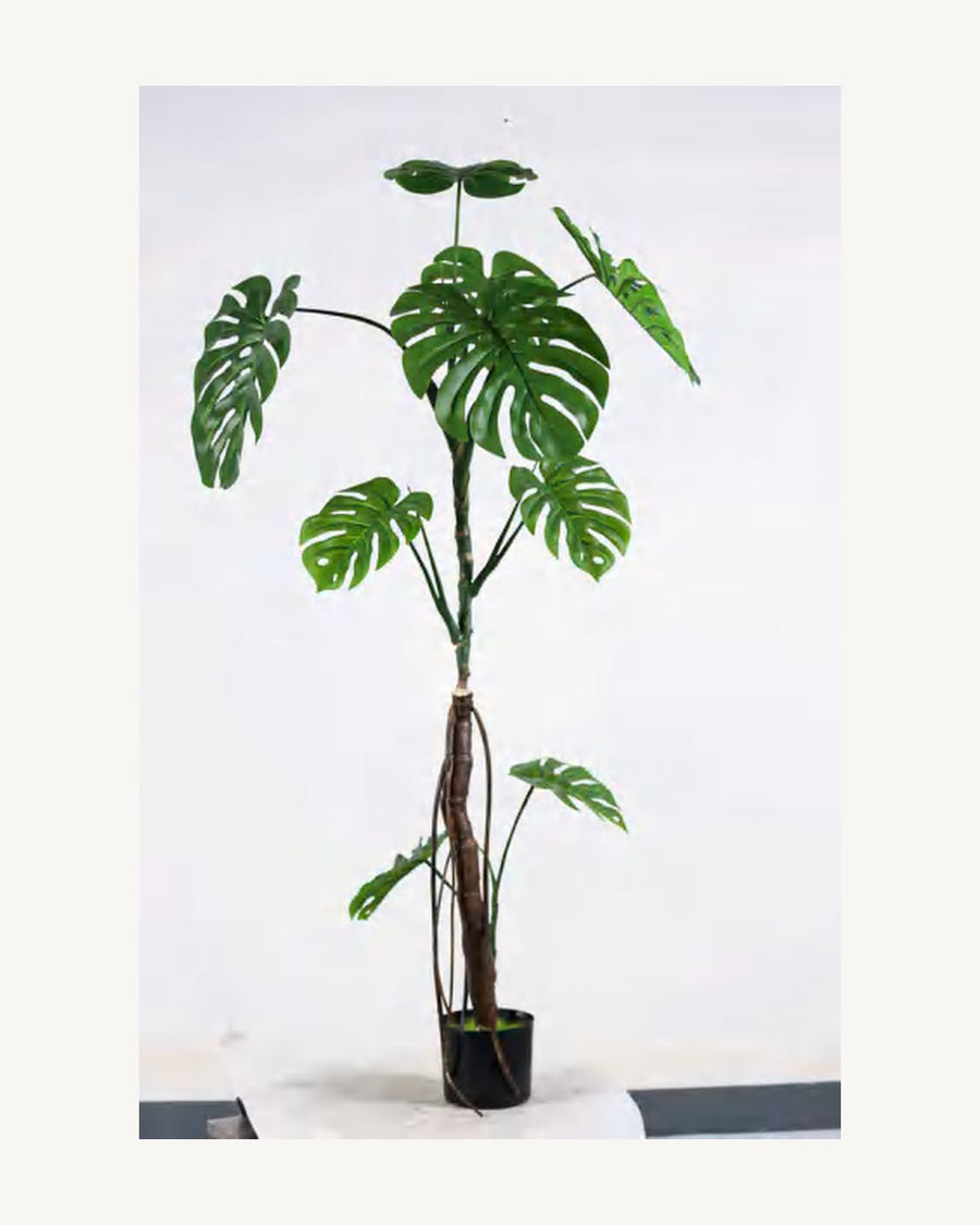 Arezzo Artificial Monstera Plant, 66.9 in