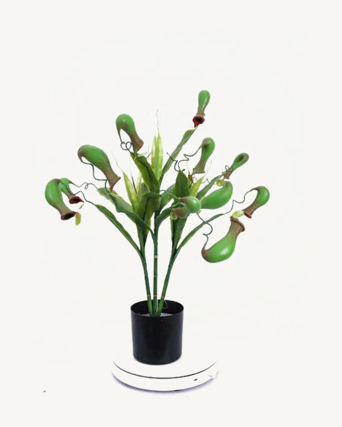Arezzo Artificial Pitcher Plant, 24.4 in, full product studio view in the included nursery pot