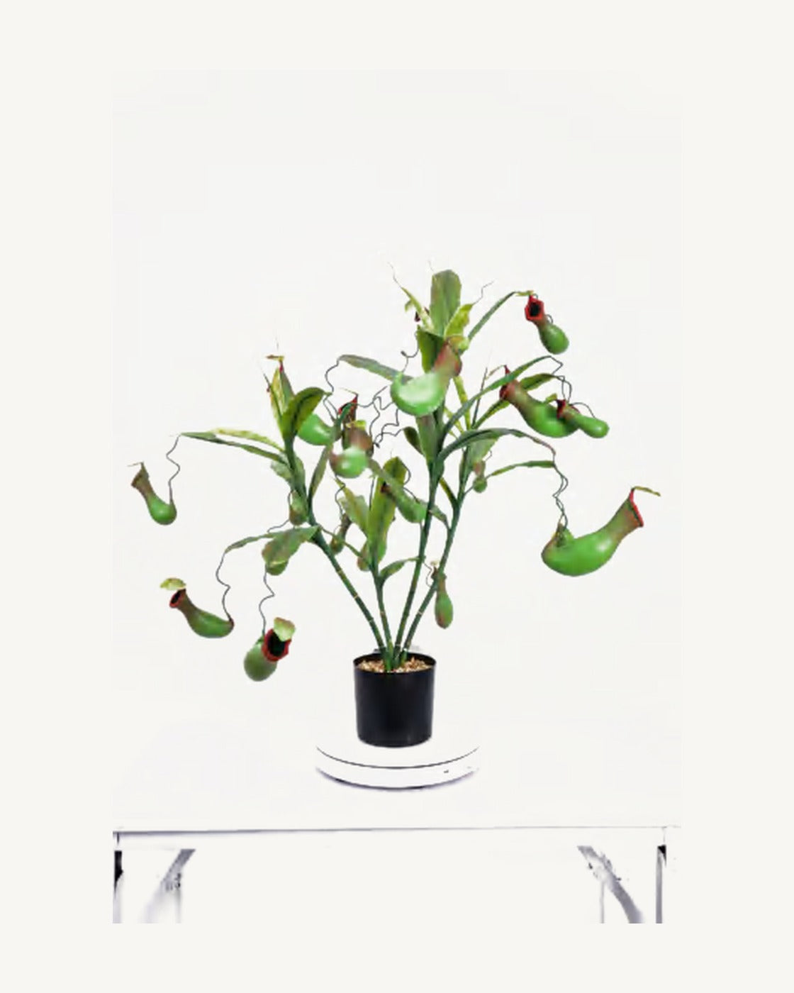 Arezzo Artificial Pitcher Plant, 27.5 in, full product studio view in the included nursery pot