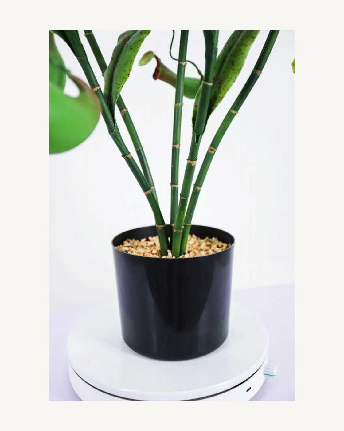 Arezzo Artificial Pitcher Plant, 39.4 in, full product studio view in the included nursery pot