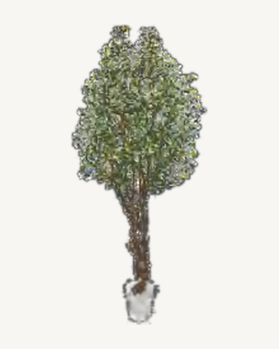 Arles Artificial Olive Tree, 94.5 in